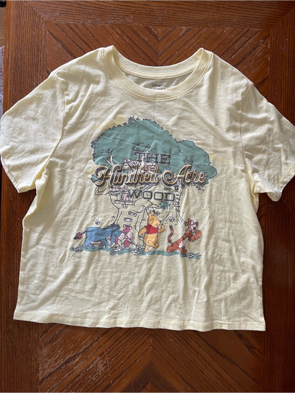 Disney Pale Yellow Winnie the Pooh Hundred Acre Wood Graphic Tee